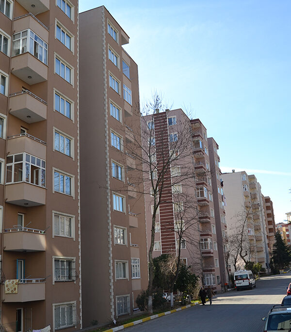 Kurtköy-2
